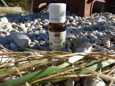 huile essentielle de menthe douce Nanah (Mentha Spicata)